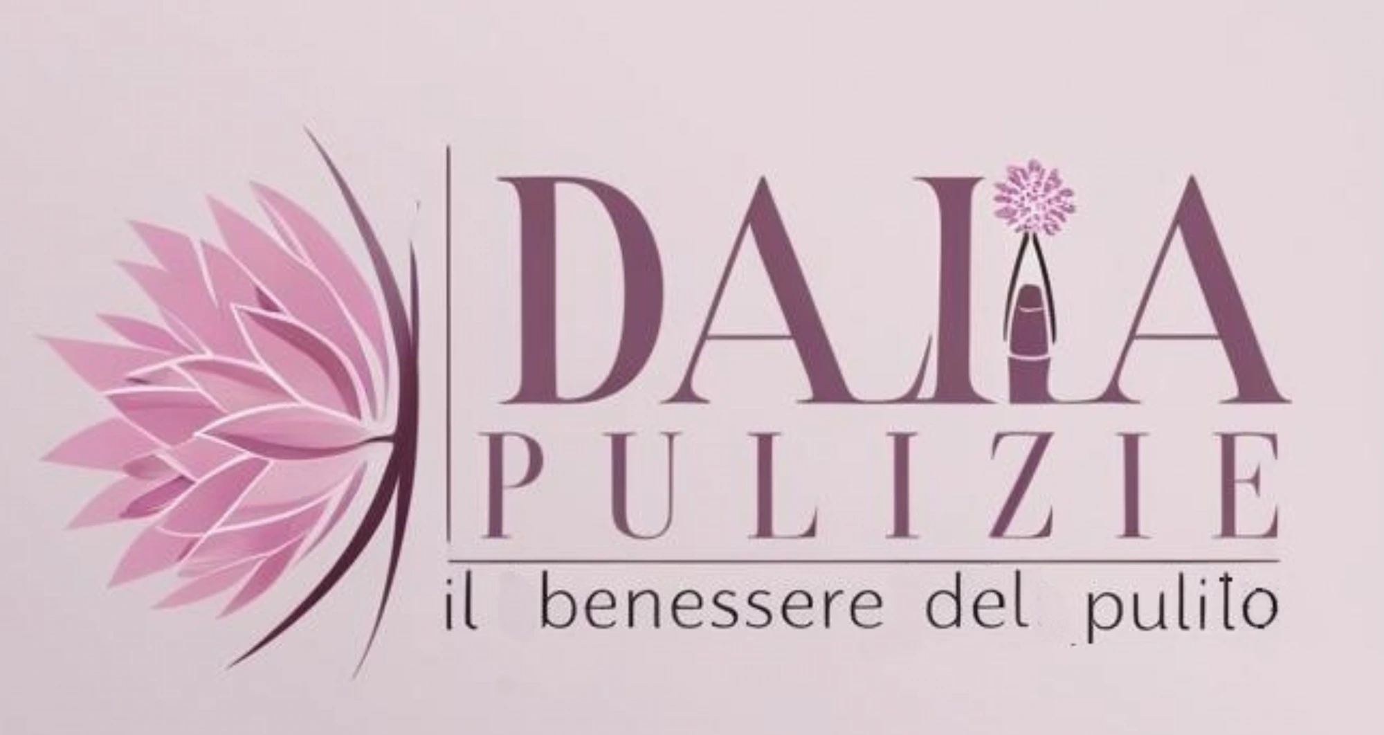 Dalia Pulizie — il benessere del pulito